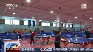 森林室内健身房怎么玩